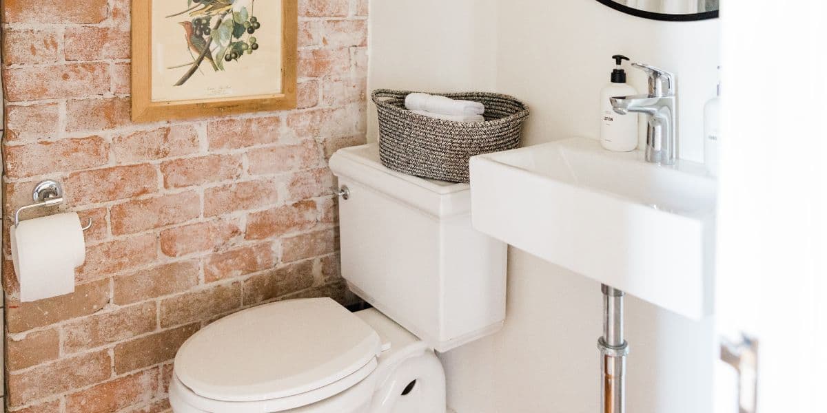 How to unclog the toilet with baking soda